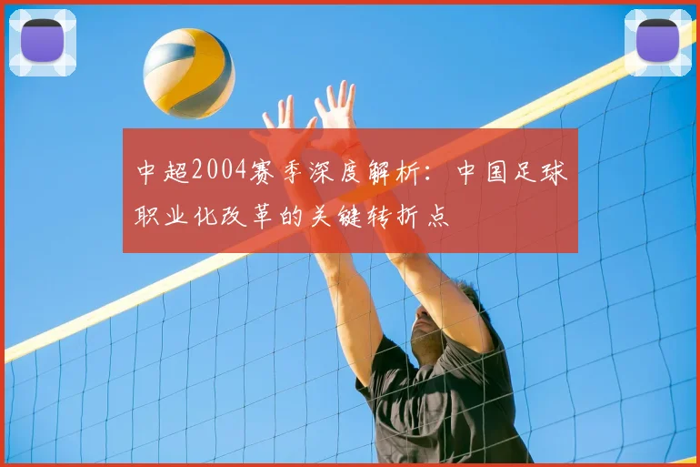 中超2004赛季深度解析:中国足球职业化改革的关键转折点