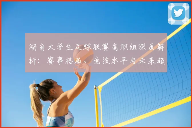 湖南大学生足球联赛高职组深度解析:赛事格局、竞技水平与未来趋势